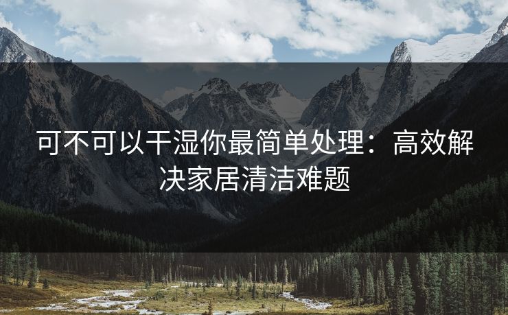 可不可以干湿你最简单处理：高效解决家居清洁难题