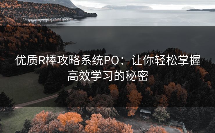 优质R棒攻略系统PO：让你轻松掌握高效学习的秘密
