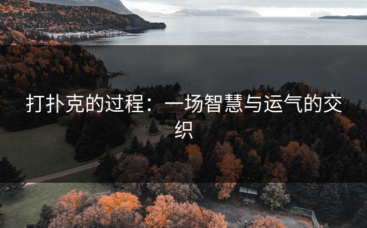 打扑克的过程：一场智慧与运气的交织