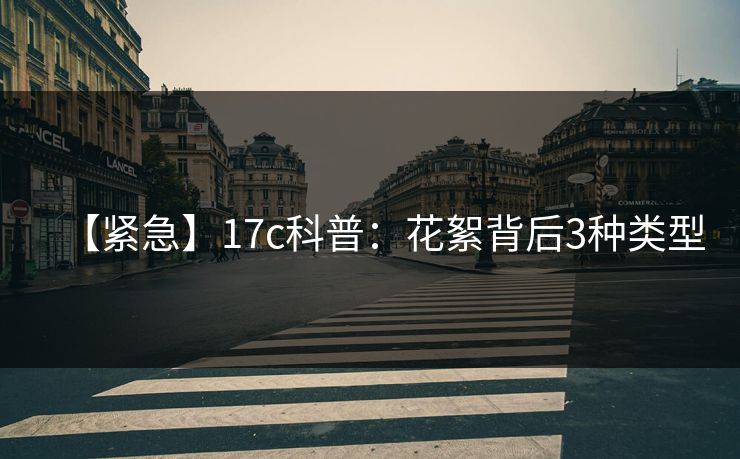 【紧急】17c科普：花絮背后3种类型