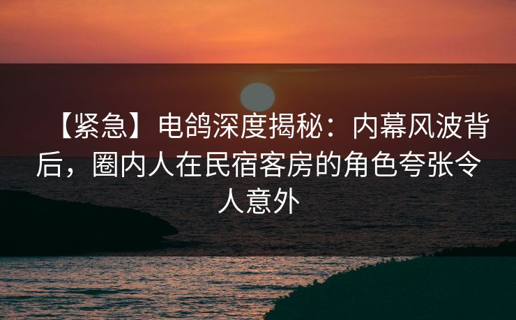 【紧急】电鸽深度揭秘：内幕风波背后，圈内人在民宿客房的角色夸张令人意外