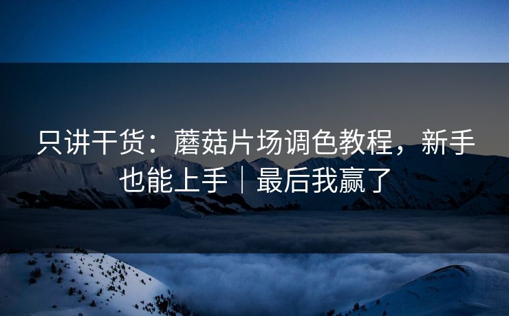 只讲干货：蘑菇片场调色教程，新手也能上手｜最后我赢了